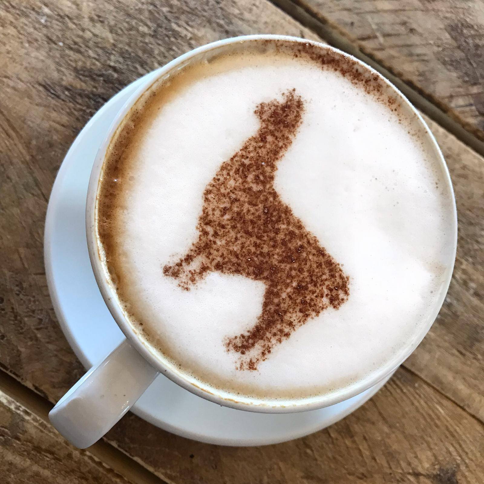 Alpaca Coffee.jpg