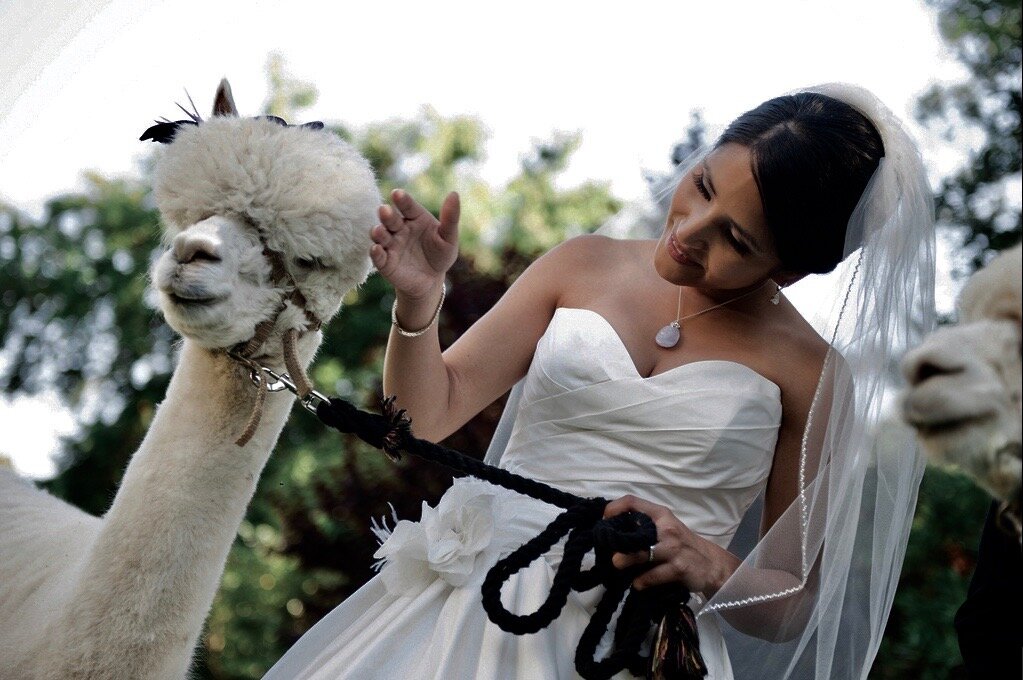 Bride - Edited.jpg